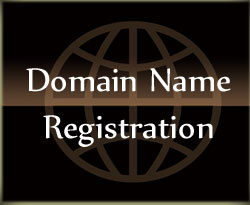 Let us register your domain name for you and make sure you never lose it by adding Id Protect
